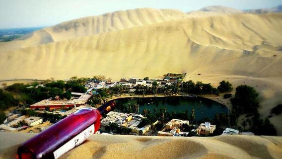 From Lima:Paracas Ballestas Islands and Ica Oasis 1 day Tour