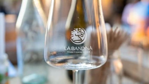 Parma: Vineyard Visit and Tasting of 5 Local Wines