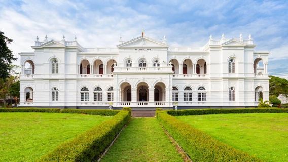 Colombo: 2-timers dybdegående rundvisning i det nationale naturhistoriske museum i Sri Lanka