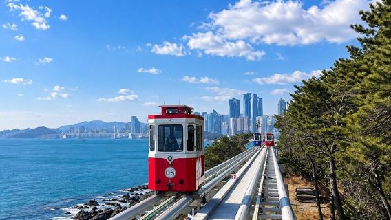 Busan Highlights: Small Group, Hotel Pick-up & Sky Capsule