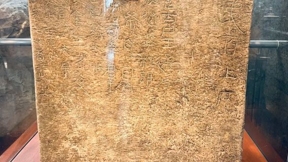 【芳華說】江蘇徐州龜山漢墓講解半日遊 | 15人小團+含耳機