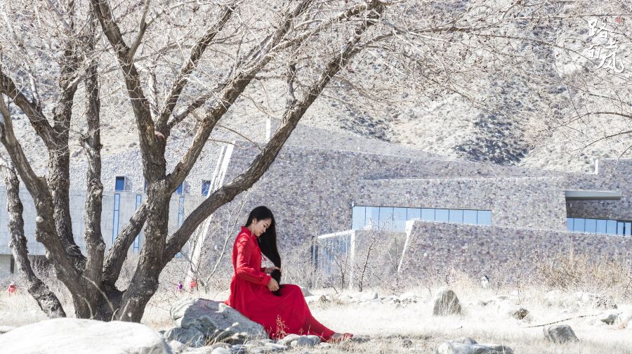 寧夏銀川鎮北堡西部影城+西夏陵遺址區+賀蘭山岩畫一日遊