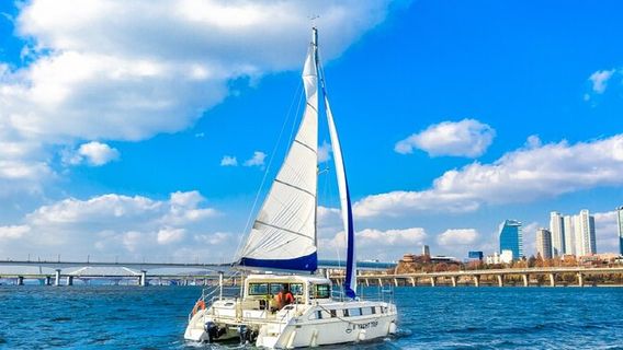 Private Catamaran Yacht Tour in Han River