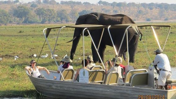 Victoria Falls
