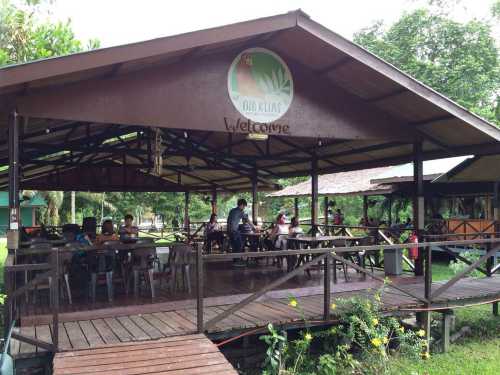 馬來西亞沙巴哥打京那巴魯凱爾斯紅樹林保護區一日遊