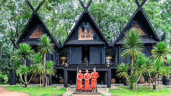 Wiang Pa PaoTours
