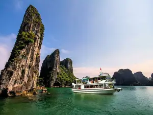 Halong Wonder Bay Day Cruise (Small Group on Boat & Buffet Lunch)