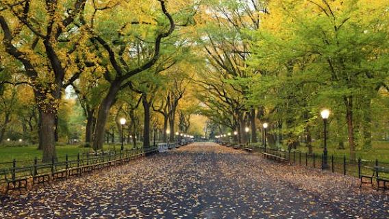 Central Park New York self-guided walking tour