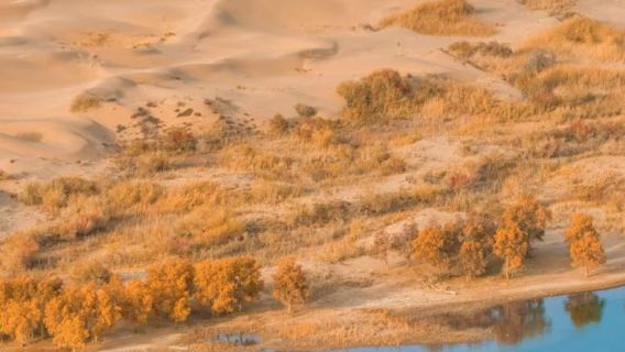 【包車遊】庫爾勒+塔塔祕境-羅布湖風景遊覽區