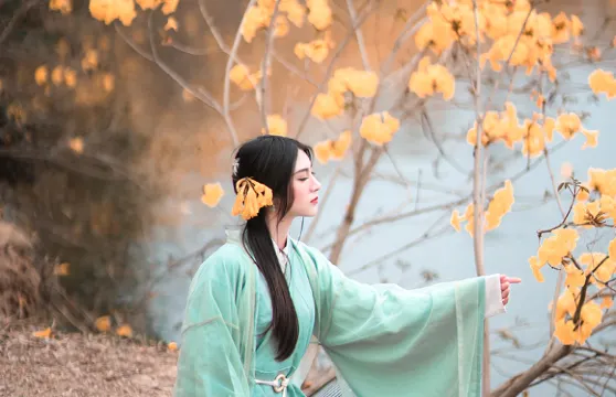 都江堰Trip Moments【婚紗寫真婚禮跟拍航拍/宣傳片紀錄片微電影/商業攝影攝像/翻譯】