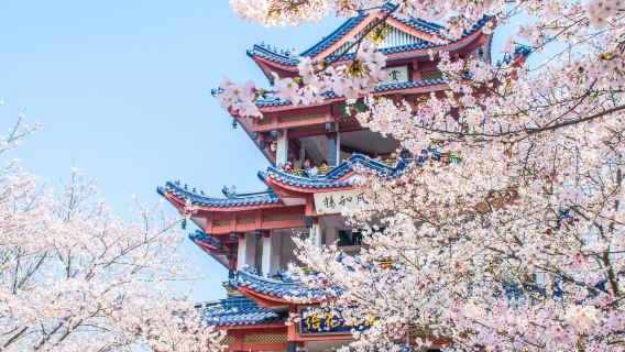 無錫:蠡園+黿頭渚+南長街|貸切チャーターカスタマイズ日帰りツアー【中英露仏独西】#