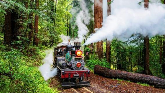 San Francisco Redwood Forest Steam Train, Santa Cruz Wharf, and Rainbow Lodge one-day tour
