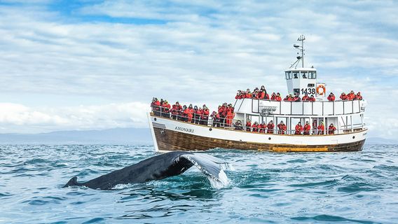 Husavik