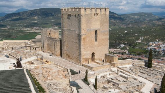 Fortaleza de La Mota: Guided Tour
