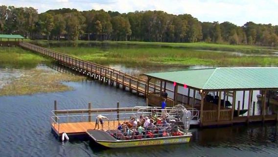 Wild Florida 1-Hour Everglades Airboat Tour