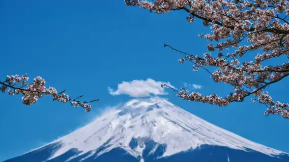 東京網紅山景點一日遊楓葉季點燈【9人精品團可選飯店上門接駁】