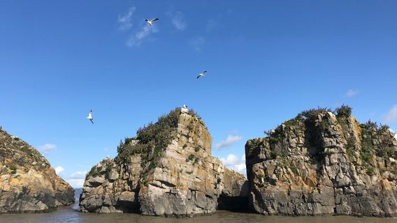 CardiffTours