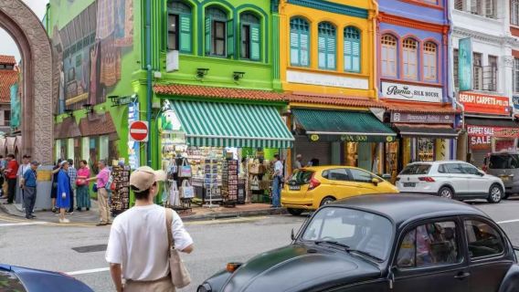 聖淘沙島+新加坡濱海灣花園+魚尾獅公園+小印度【定制包車】