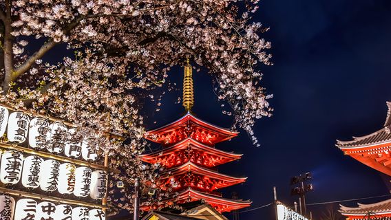 東京特色體驗
