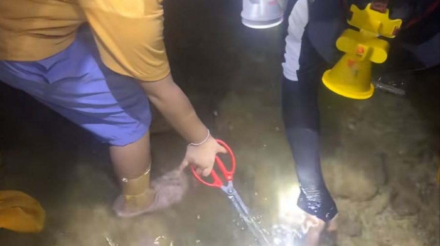 海棠灣後海趕海 專業教練帶領 安全可靠 工具 小朋友連身褲