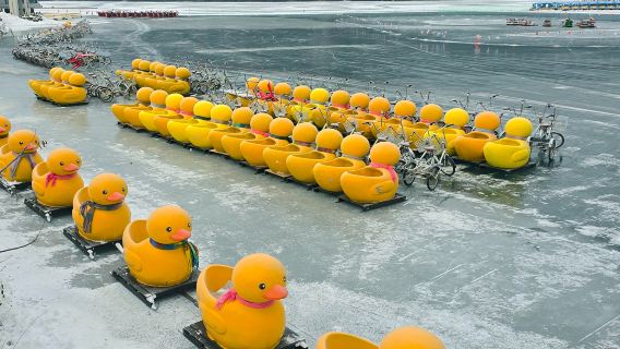 Strawberry Picking + Jam Making + Nami Island + Garden of Morning Calm Lighting Festival 1-Day Tour