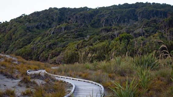 Franz Josef: to Wanaka Small Group 1 Way Tour with Lunch