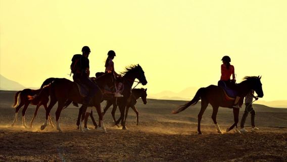 Hurghada: Paseo a caballo por el mar y el desierto, observación de estrellas, cena y espectáculo