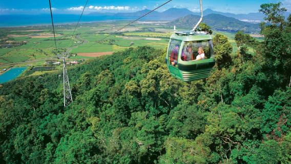 Port Douglas: Bosque Patrimonio de la Humanidad en Skyrail y tren panorámico