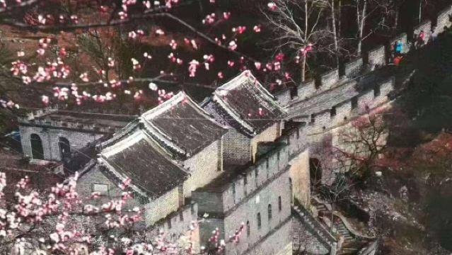 Beijing Mutianyu Great Wall Private Tour with Options