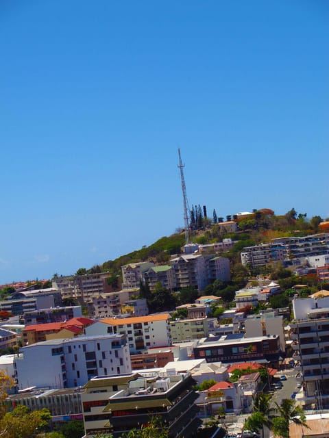 Recorrido en el famoso Tren Verde de Numea (1h30)