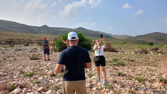 Visite de l'ouest de Salalah par VisitSalalah