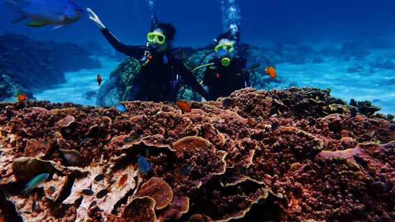 Plongée sous-marine à Phuket en Thaïlande – Excursion d'une journée en bateau rapide aux îles Racha avec une plongée profonde + visite de deux îles – Accessible aux débutants et non-nageurs