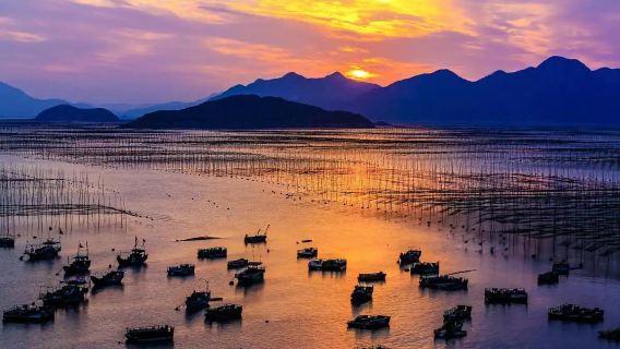 Xiapu 1-day Tour [East China Sea No. 1 Line|Optional routes|Local guide takes you to admire the sunset coastline