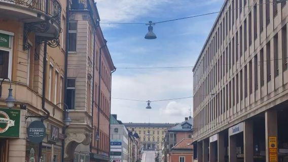 瑞典斯德哥爾摩西格圖納+烏普薩拉雙鎮一日遊【中文司機-定制】