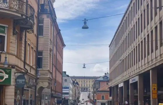 瑞典斯德哥爾摩西格圖納+烏普薩拉雙鎮一日遊【中文司機-定制】