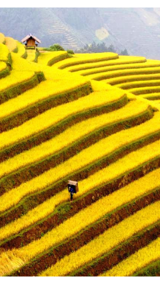 ซาปา Instagram แอดเวนเจอร์ – วัฒนธรรมชาวม้งและจุดถ่ายรูปสุดอลังการ