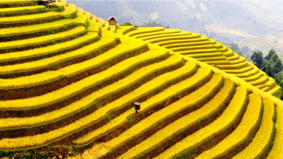 Petualangan Instagram Sa Pa – Budaya Hmong & Spot Foto Epik