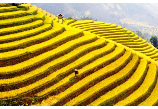 Sapa Instagram Adventure – Hmong Culture & Epic Photo Spots