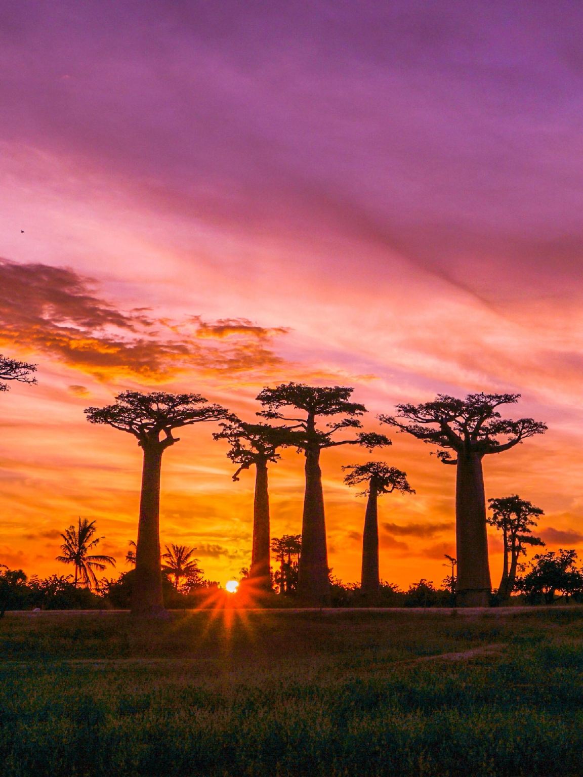 馬達加斯加&穆龍達瓦【邂逅印度洋的海風】專屬包車一日之旅