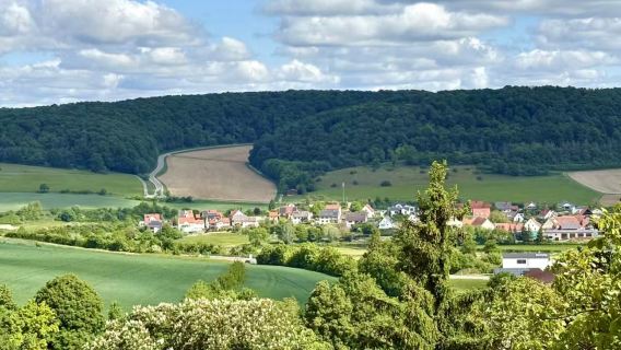 德國法蘭克福來回Steiff小熊 + 羅滕堡中文包車一日遊