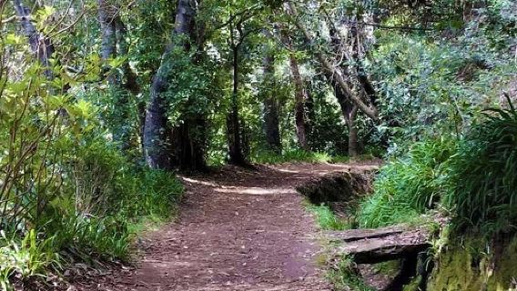 Vale Paraíso - Rochão