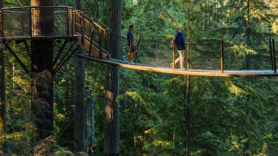 加拿大溫哥華吊橋公園+溫哥華水族館+美術館一日遊