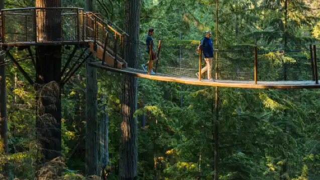 加拿大溫哥華吊橋公園+格蘭維爾島公共市場+植物園一日遊