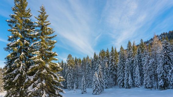 挪威特羅姆瑟機場接送｜銜接市區精華遊【全境多/日遊可定制】
