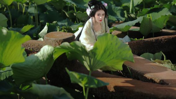 Dongping Trip Moments[Dongping Lake/Water Margin Movie and Television City translation photographer local guide appointment shooting follow-up shooting aerial photography accompanying shooting wedding photography portrait]