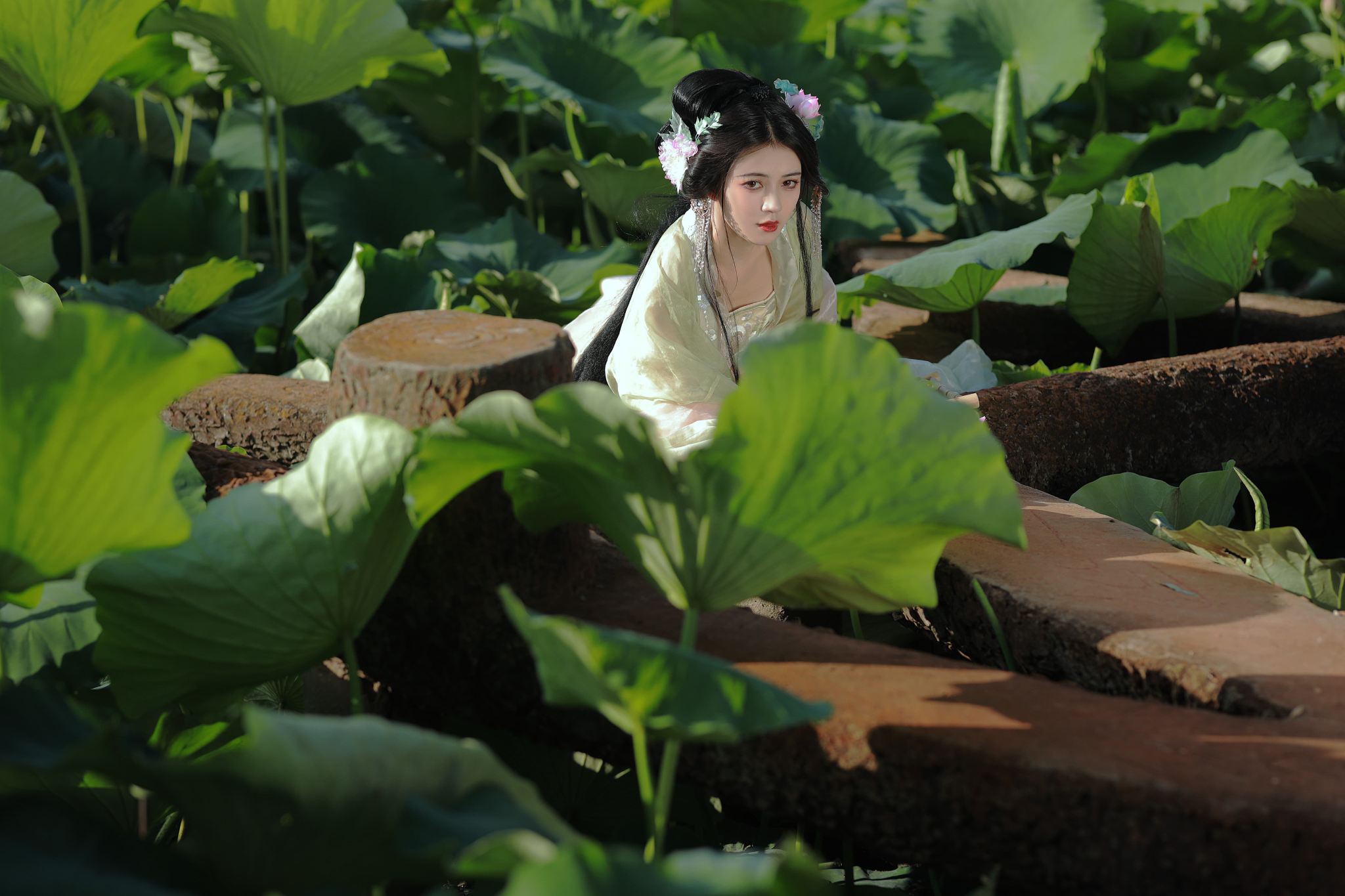 東平Trip Moments【東平湖/大宋不夜城翻譯攝影師地陪約拍跟拍航拍陪拍婚紗寫真】