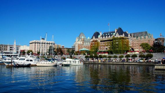 南非開普敦包車一日遊 河口自然保護區+企鵝灘+鳥類保護區