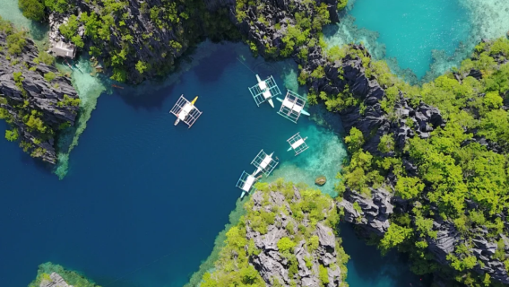 Professional Chinese Tour Guide in the Philippines / Local Guide / Interpreter / Attraction Commentary