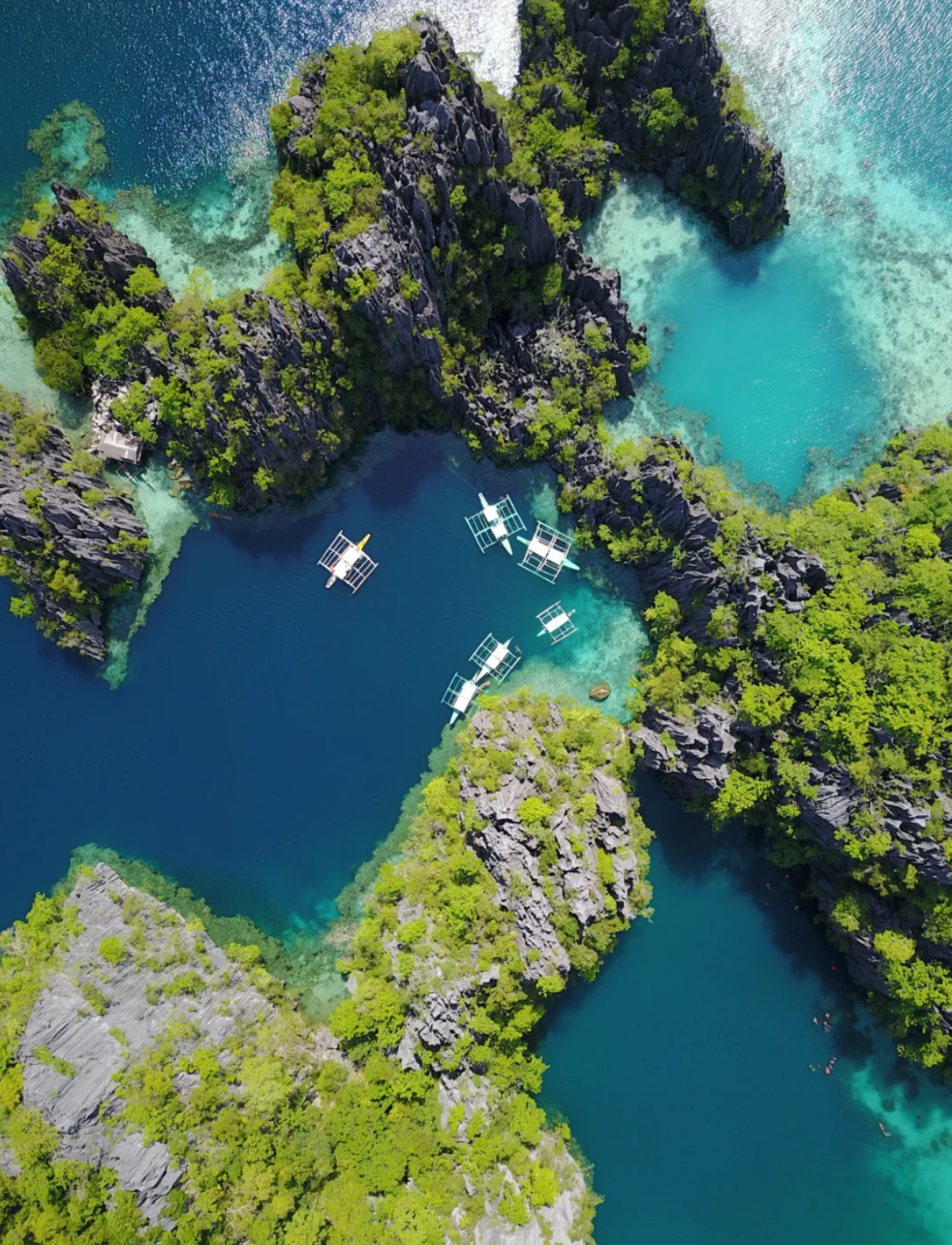 菲律賓境內/專業中文導遊/地陪/翻譯/景區導覽