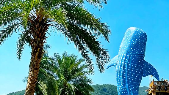 珠海長隆 2 天 1 晚/3 天 2 晚海洋王國企鵝/飛船/馬戲/橫琴灣/迎海酒可選長隆秀/卡卡虎表演門票親子度假組合